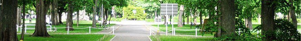 JR Inn Sapporo Esterno foto